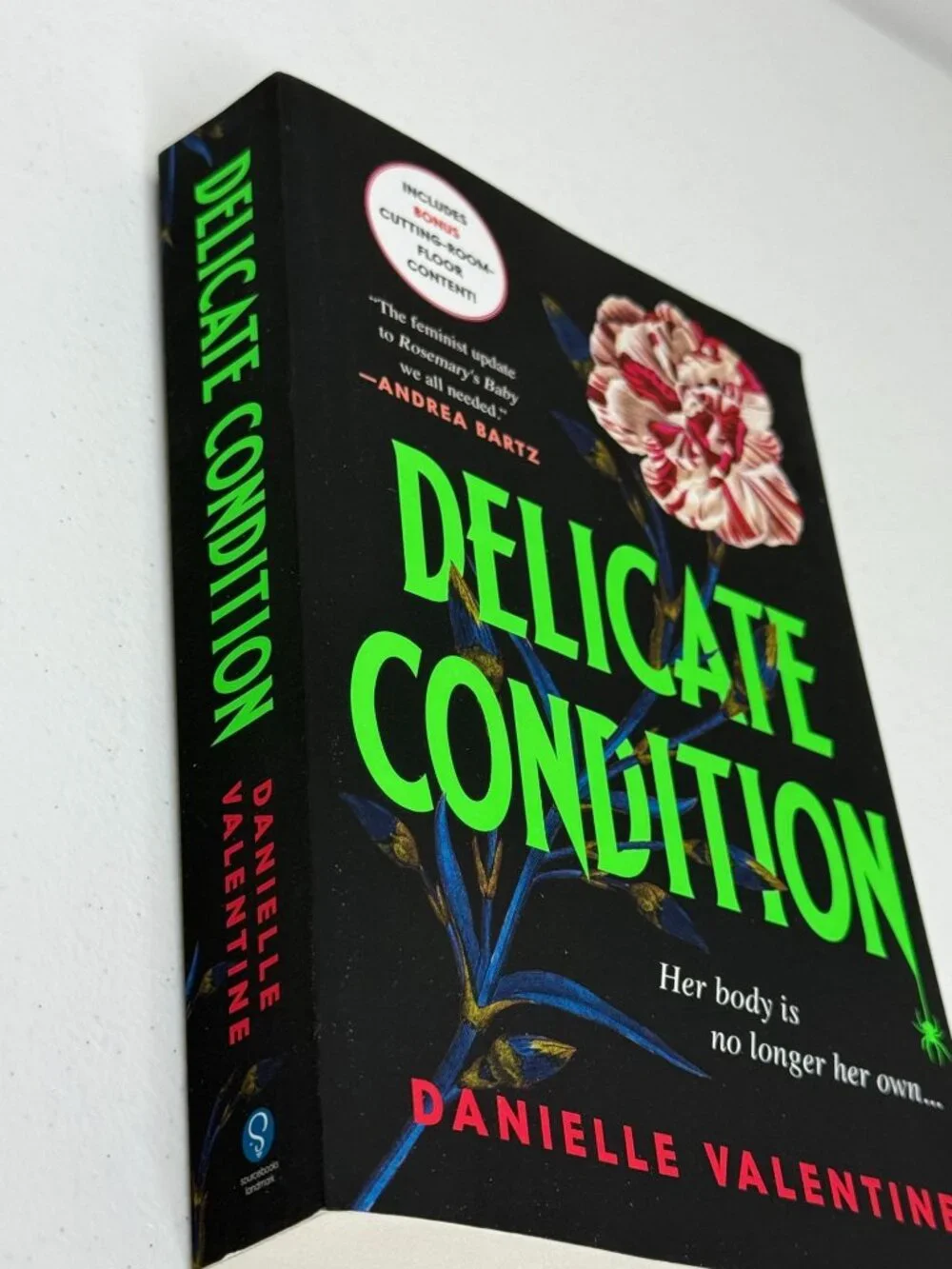 Delicate Condition Danielle Valentine New Paperback